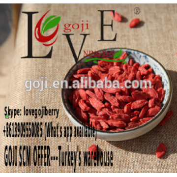 oferta goji SCM --- armazém da Turquia